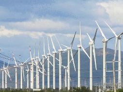 Parque eólico en operación, como parte de la transición hacia energías limpias en el país. EL INFORMADOR/Archivo