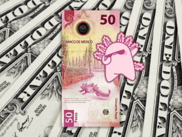 Los expertos coinciden en que factores como el nearshoring y la entrada de divisas por eventos futuros, como el Mundial de Futbol 2026, seguirán jugando a favor del peso frente al dólar. ESPECIAL / CANVA