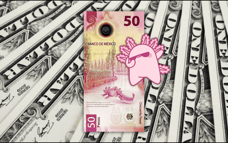 Los expertos coinciden en que factores como el nearshoring y la entrada de divisas por eventos futuros, como el Mundial de Futbol 2026, seguirán jugando a favor del peso frente al dólar. ESPECIAL / CANVA