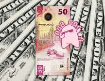 Los expertos coinciden en que factores como el nearshoring y la entrada de divisas por eventos futuros, como el Mundial de Futbol 2026, seguirán jugando a favor del peso frente al dólar. ESPECIAL / CANVA