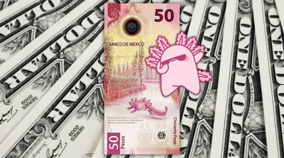 Los expertos coinciden en que factores como el nearshoring y la entrada de divisas por eventos futuros, como el Mundial de Futbol 2026, seguirán jugando a favor del peso frente al dólar. ESPECIAL / CANVA
