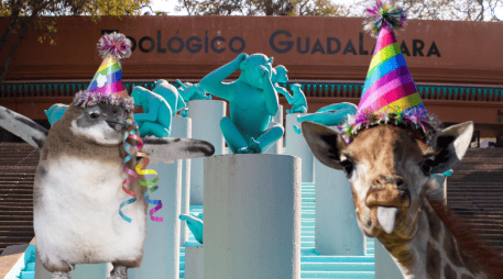 Si planeas aprovechar esta increíble promoción, te recordamos que el Zoológico Guadalajara se encuentra muy cerca de la Barranca de Huentitán. ESPECIAL/ EL INFORMADOR/ ARCHIVO/ Unsplash