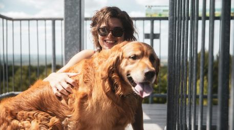 Conoce a los mejores razas de perro para convertirse en tu nuevo gran amigo y mejor compañía. UNSPLASH / B. ROGERS