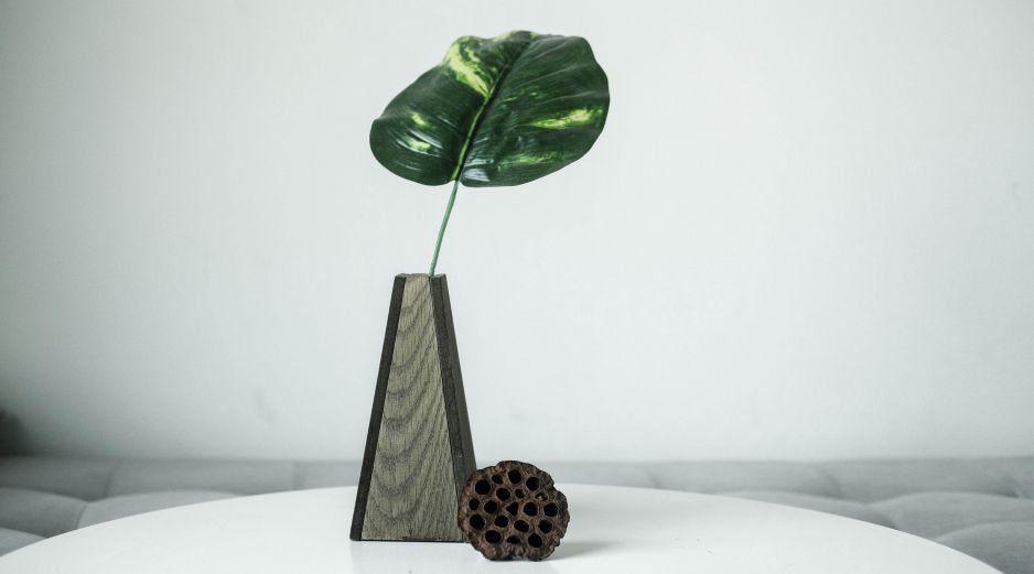 Las plantas de interior para refrescar el hogar funcionan mediante procesos naturales como la transpiración.  UNSPLASH / L. LE