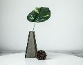 Las plantas de interior para refrescar el hogar funcionan mediante procesos naturales como la transpiración.  UNSPLASH / L. LE