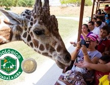El recinto continúa siendo uno de los principales atractivos turísticos y familiares de Guadalajara. EL INFORMADOR/ARCHIVO/ESPECIAL