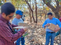 La Procuraduría Federal de Protección al Ambiente (Profepa) realizó un operativo en materia de vida silvestre y aseguró 99 aves que estaban siendo comercializadas de manera ilegal dentro del mercado 