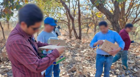 La Procuraduría Federal de Protección al Ambiente (Profepa) realizó un operativo en materia de vida silvestre y aseguró 99 aves que estaban siendo comercializadas de manera ilegal dentro del mercado 