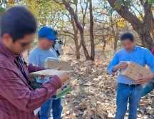 La Procuraduría Federal de Protección al Ambiente (Profepa) realizó un operativo en materia de vida silvestre y aseguró 99 aves que estaban siendo comercializadas de manera ilegal dentro del mercado 