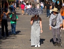 La Secretaría de Salud federal informa que Jalisco es la entidad con más afectaciones por el calor, con un total de 43 casos de golpes de calor, deshidratación o quemaduras.