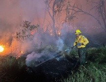 Fueron brigadistas de la Unidad Forestal y Bomberos de Base 1 de la Dirección de Protección Civil y Bomberos del municipio de Zapopan quienes acudieron a atender el reporte del siniestro y combatieron el fuego. CORTESÍA / PC Zapopan