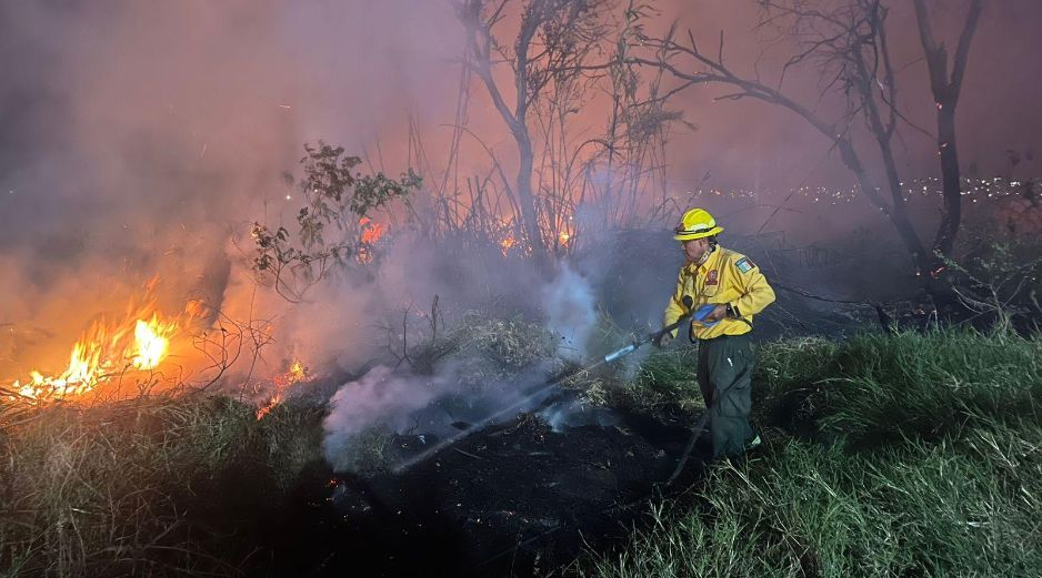 Fueron brigadistas de la Unidad Forestal y Bomberos de Base 1 de la Dirección de Protección Civil y Bomberos del municipio de Zapopan quienes acudieron a atender el reporte del siniestro y combatieron el fuego. CORTESÍA / PC Zapopan