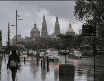 La Conagua ha informado, que pese a la llegada del Frente frío 49, en Jalisco el cielo se mantendrá mayormente despejado. ESPECIAL