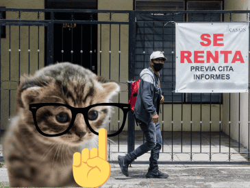 La iniciativa está dirigida a personas de entre 20 y 24 años que se encuentran en proceso de independizarse o que ya rentan una vivienda. ESPECIAL/ EL INFORMADOR/ ARCHIVO/ Unsplash