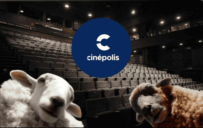 Acompañamos a descubrir lo mejor del cine esta semana en las salas de Cinépolis. ESPECIAL/ Unsplash