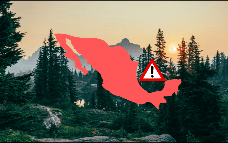 El documento advierte que en el año 2025 se documentaron 135 eventos de agresión con 314 agresiones contra ambientalistas. UNSPLASH / S. A