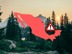 El documento advierte que en el año 2025 se documentaron 135 eventos de agresión con 314 agresiones contra ambientalistas. UNSPLASH / S. A