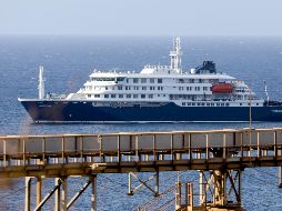 La OMS investiga una inusual transmisión de persona a persona del letal virus Andes a bordo del MV Hondius mientras España organiza un operativo de desembarque. EFE/E. Monteiro