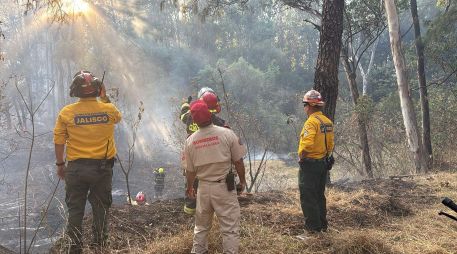 Los elementos de Protección Civil y Bomberos de Guadalajara y Zapopan trabajaron de manera conjunta en el combate al incendio, mientras policías municipales resguardaron la zona para facilitar el acceso de las unidades de emergencia.