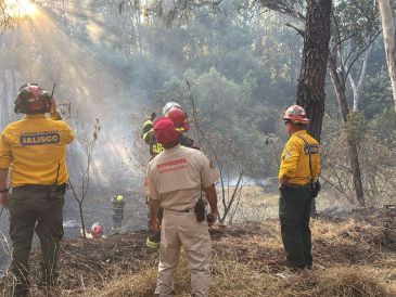 Los elementos de Protección Civil y Bomberos de Guadalajara y Zapopan trabajaron de manera conjunta en el combate al incendio, mientras policías municipales resguardaron la zona para facilitar el acceso de las unidades de emergencia.