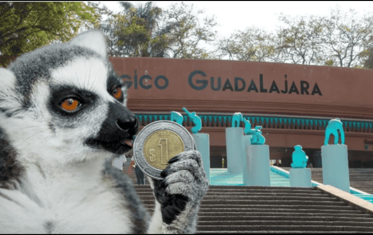 Si planeas aprovechar esta increíble promoción, te recordamos que el Zoológico Guadalajara se encuentra muy cerca de la Barranca de Huentitán. ESPECIAL/ EL INFORMADOR/ ARCHIVO/ Unsplash