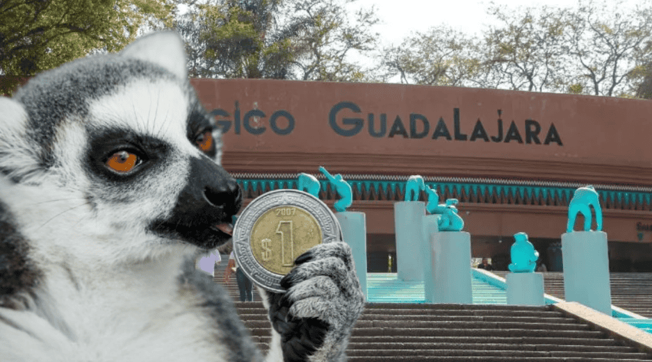 Si planeas aprovechar esta increíble promoción, te recordamos que el Zoológico Guadalajara se encuentra muy cerca de la Barranca de Huentitán. ESPECIAL/ EL INFORMADOR/ ARCHIVO/ Unsplash