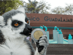 Si planeas aprovechar esta increíble promoción, te recordamos que el Zoológico Guadalajara se encuentra muy cerca de la Barranca de Huentitán. ESPECIAL/ EL INFORMADOR/ ARCHIVO/ Unsplash