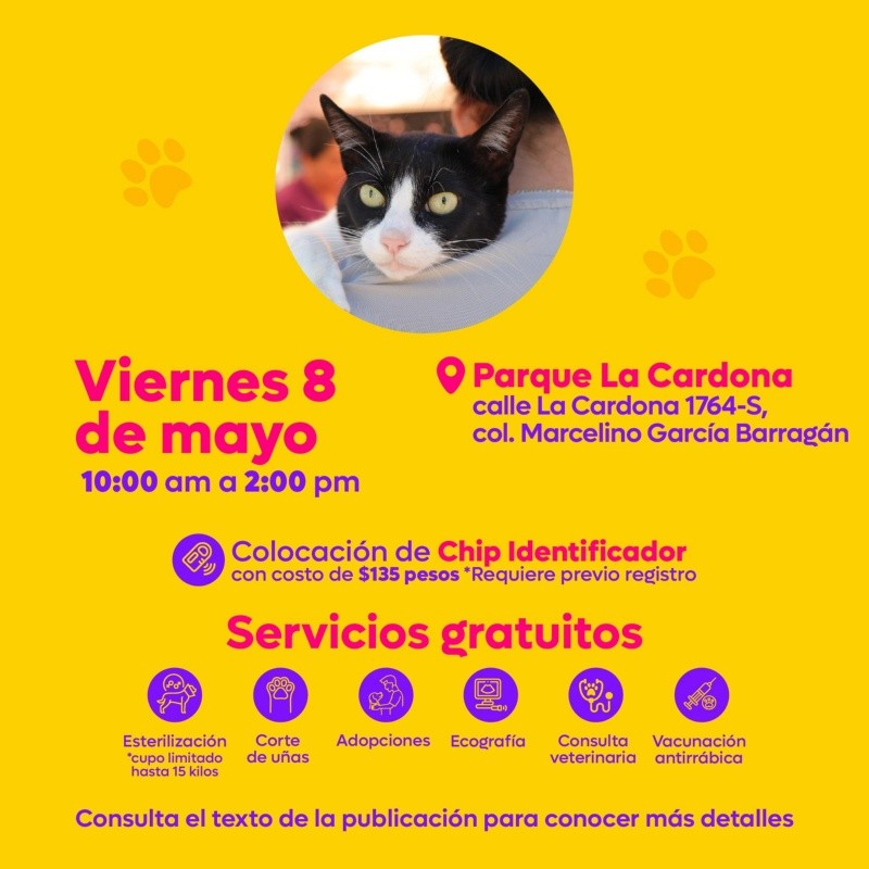 CORTESÍA/ Protección Animal Zapopan.&nbsp;