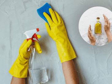 Para utilizar este método no se necesitan productos especiales ni mezclas complicadas. CANVA/PIXABAY/ESPECIAL