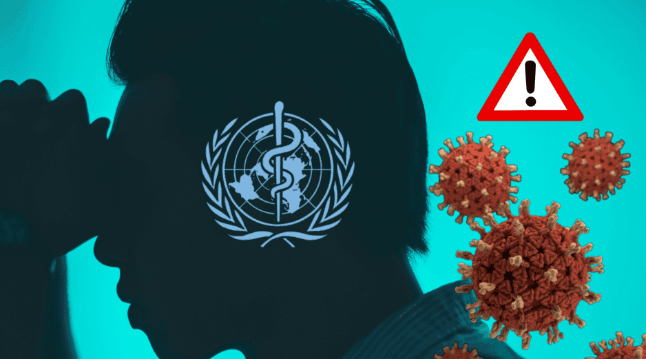 La Organización Mundial de la Salud (OMS) reportó un foco de infección de hantavirus en el crucero MV Hondius UNSPLASH /  R. TRIP / UNSPLASH / CDC