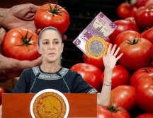 Sheinbaum destacó que las políticas implementadas para controlar el costo de la gasolina y el diésel han sido fundamentales para evitar el disparo de la inflación. EL INFORMADOR / ARCHIVO / EFE / I. Esquivel