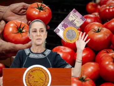 Sheinbaum destacó que las políticas implementadas para controlar el costo de la gasolina y el diésel han sido fundamentales para evitar el disparo de la inflación. EL INFORMADOR / ARCHIVO / EFE / I. Esquivel
