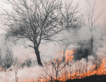 La titular de la Coesfo, Magdalena María Coello Castillo, exhortó a la ciudadanía a utilizar el fuego de manera responsable, particularmente durante esta temporada de calor extremo que afecta distintas regiones del país. CANVA