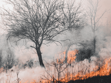 La titular de la Coesfo, Magdalena María Coello Castillo, exhortó a la ciudadanía a utilizar el fuego de manera responsable, particularmente durante esta temporada de calor extremo que afecta distintas regiones del país. CANVA