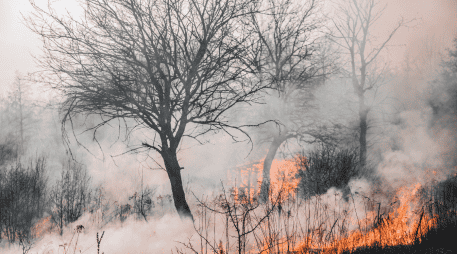 La titular de la Coesfo, Magdalena María Coello Castillo, exhortó a la ciudadanía a utilizar el fuego de manera responsable, particularmente durante esta temporada de calor extremo que afecta distintas regiones del país. CANVA