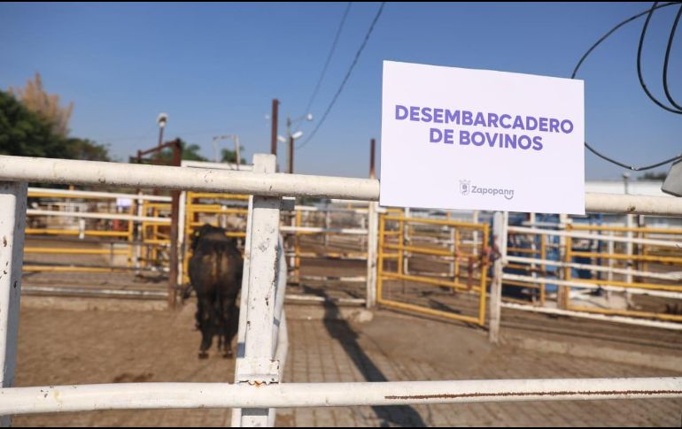 Aspectos sobre las instalaciones del rastro de Zapopan tras su remodelación. ESPECIAL / Gobierno de Zapopan