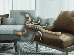 Conoce las acciones que puedes tomar para evitar la aparición de estos insectos en tu hogar. ESPECIAL/Canva