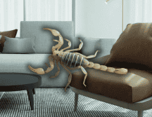 Conoce las acciones que puedes tomar para evitar la aparición de estos insectos en tu hogar. ESPECIAL/Canva