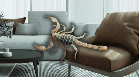 Conoce las acciones que puedes tomar para evitar la aparición de estos insectos en tu hogar. ESPECIAL/Canva