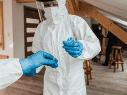 El hantavirus es una enfermedad zoonótica transmitida principalmente por roedores a través de heces, orina o saliva. CANVA