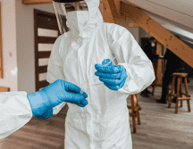 El hantavirus es una enfermedad zoonótica transmitida principalmente por roedores a través de heces, orina o saliva. CANVA