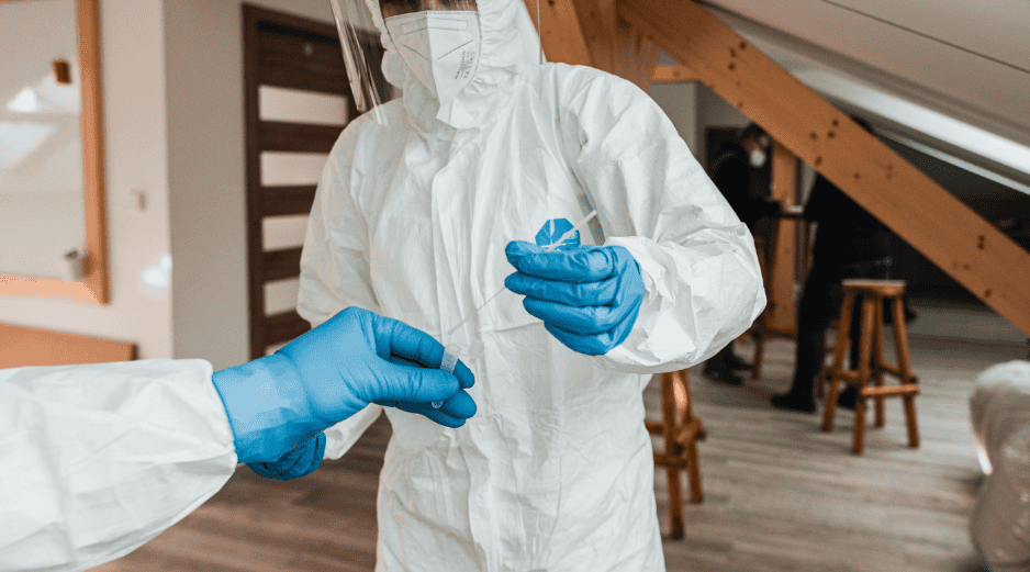 El hantavirus es una enfermedad zoonótica transmitida principalmente por roedores a través de heces, orina o saliva. CANVA