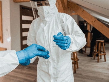 El hantavirus es una enfermedad zoonótica transmitida principalmente por roedores a través de heces, orina o saliva. CANVA