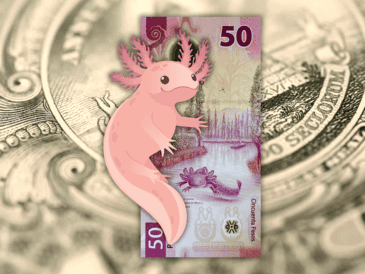 Aunque el peso recuperó bastante terreno en el mercado interbancario, en las ventanillas de Banamex, BBVA y Banco Azteca, el dólar se vendió en un promedio de 17.99 pesos. ESPECIAL / CANVA