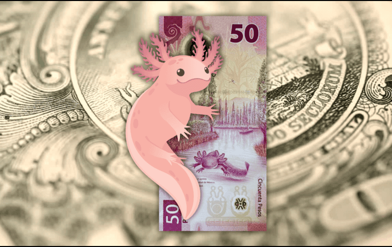 Aunque el peso recuperó bastante terreno en el mercado interbancario, en las ventanillas de Banamex, BBVA y Banco Azteca, el dólar se vendió en un promedio de 17.99 pesos. ESPECIAL / CANVA