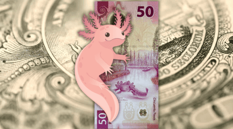 Aunque el peso recuperó bastante terreno en el mercado interbancario, en las ventanillas de Banamex, BBVA y Banco Azteca, el dólar se vendió en un promedio de 17.99 pesos. ESPECIAL / CANVA