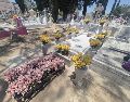 Decenas de familia se dieron cita en el Panteón de Mezquitán, en Guadalajara, para celebrar el Día de las Madres en compañía familiar. EL INFORMADOR/ O. GONZÁLEZ.
