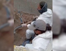 Los hallazgos fueron en Ixtlahuacán de los Membrillos. ESPECIAL