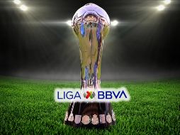 Las Semifinales de la Liga MX ya están definidas: Pumas se medirá ante los Tuzos del Pachuca, mientras que Chivas protagonizará una serie de alto voltaje frente a Cruz Azul. ESPECIAL / IMAGO7 y CANVA
