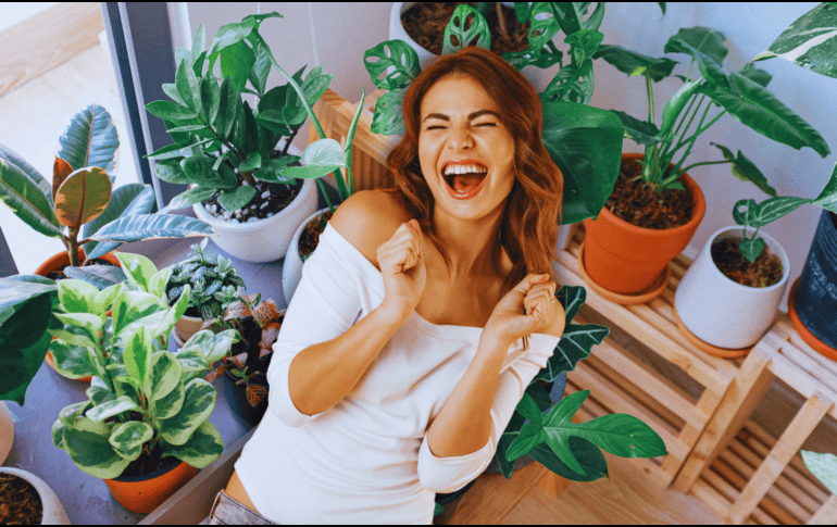 Observar la naturaleza reduce drásticamente los niveles de cortisol, la famosa hormona responsable de generar el estrés en nuestro cuerpo. ESPECIAL / CANVA